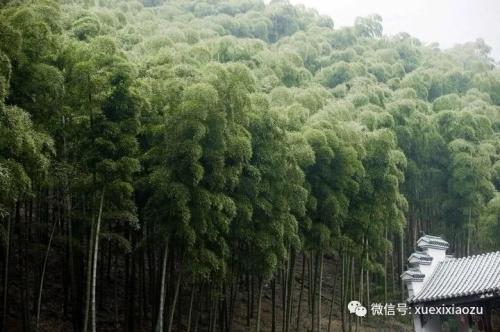 【熊猫体育首页】《东京喰种》ED乐队出道10周年 石田翠画图祝贺(图4) 熊猫体育首页