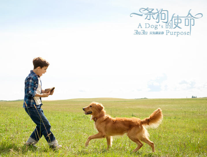 熊猫体育公司:孟晚舟朋友圈发声到底是怎么回事?孟晚舟朋友圈发声的内容是什么?(图1) 熊猫体育公司