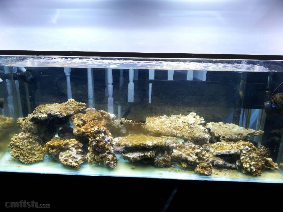 熊猫体育公司:链接过去和未来的信 《解忧杂货店》新预告公开(图1) 熊猫体育首页