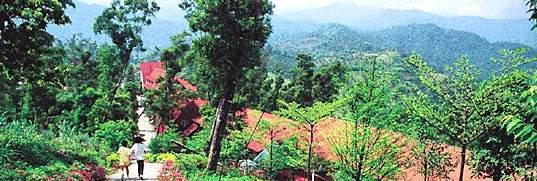 克乐思少儿编程,科技,让世界就在眼前‘熊猫体育首页’(图3) 熊猫体育首页