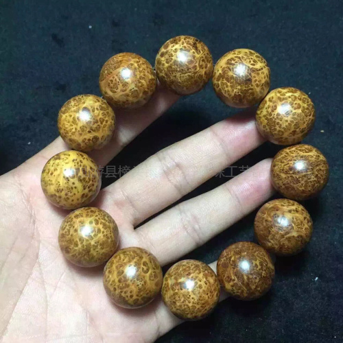 熊猫体育公司|日本萨摩半岛近海发生7.0级地震 引发海啸(图1) 熊猫体育公司